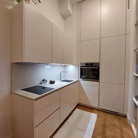 Daire Luxury In The Centre Prag